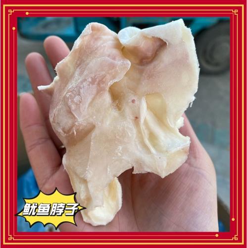 新鲜冷冻鱿鱼脖子铁板烧烤鱿鱼脖香脆鱿鱼脖