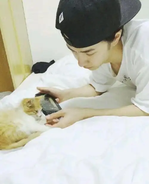 王一博猫系男友请签收