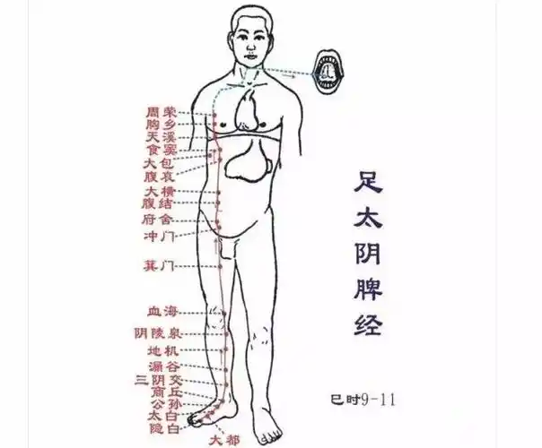 太实用了脾经上这六个穴位堪称六味大药祛湿止痒消炎止血