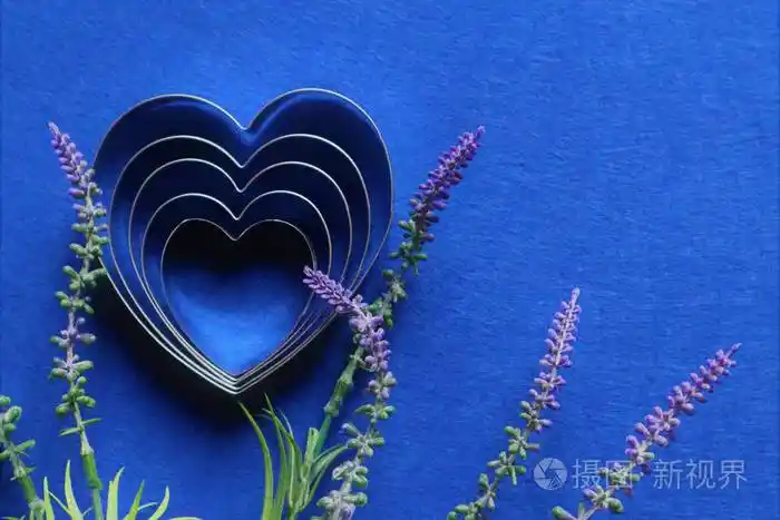 许多心形和薰衣草花在2020年的流行颜色