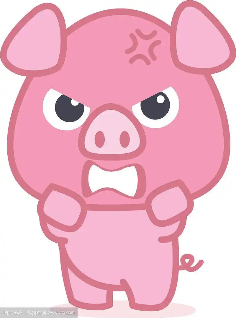 愤怒的猪卡通人物