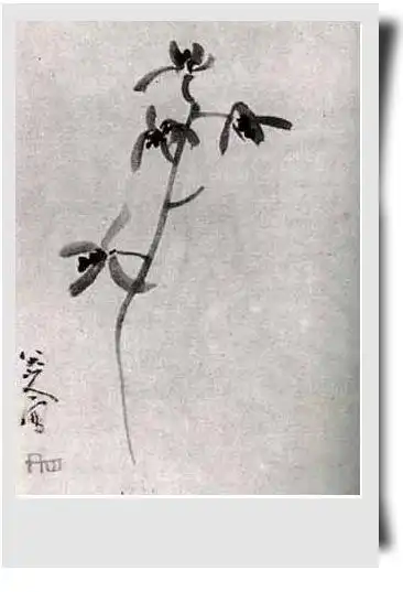 (清)朱耷兰画欣赏-国兰文化-中国兰花交易网社区