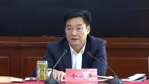 县领导宣丽玲,王旻,胡光喜,吕戈,成忠,孙根友,戴昭军,郜志华,徐毅,胡
