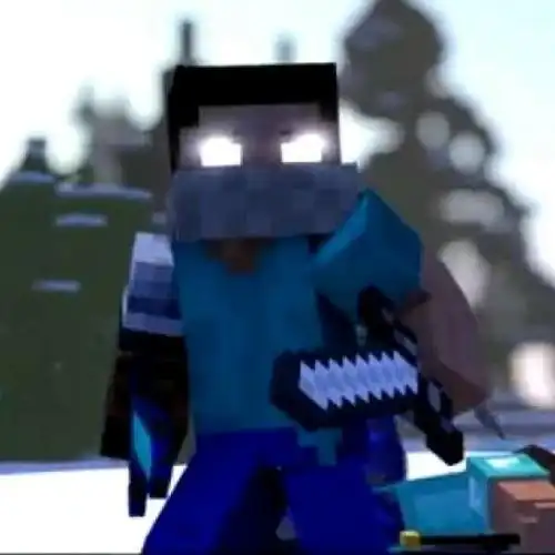 我的世界him的一生