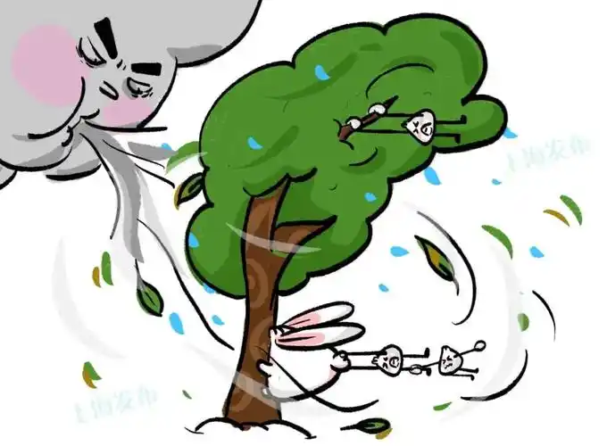 注意!上海发布大风蓝色预警