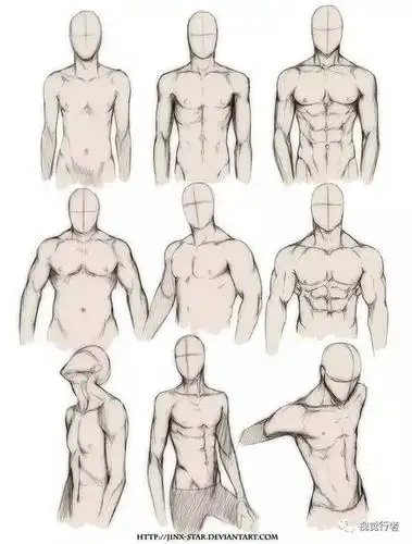 男性躯干各角度动态参考,用强硬的线条清楚描绘肌肉的曲线