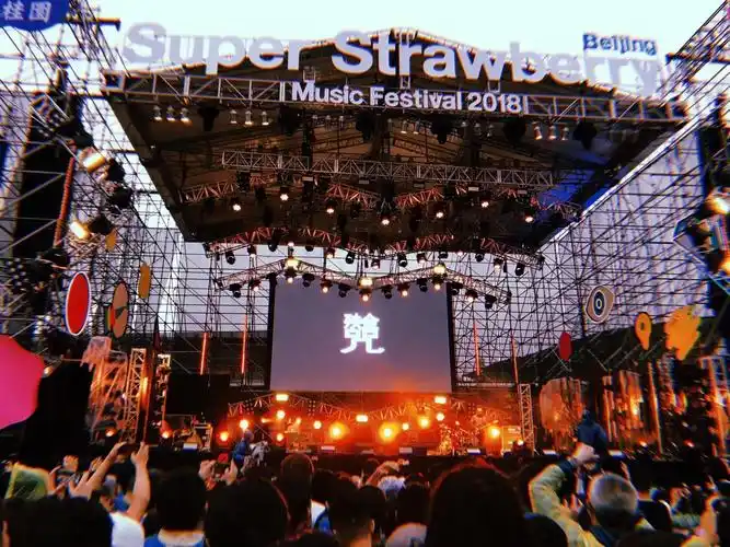 窦唯草莓音乐节鞠躬致谢,年近半百声音依旧如此有磁性!