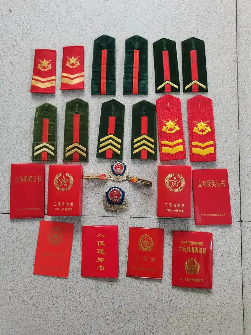 这是武警肩章吧?三期士官退役?