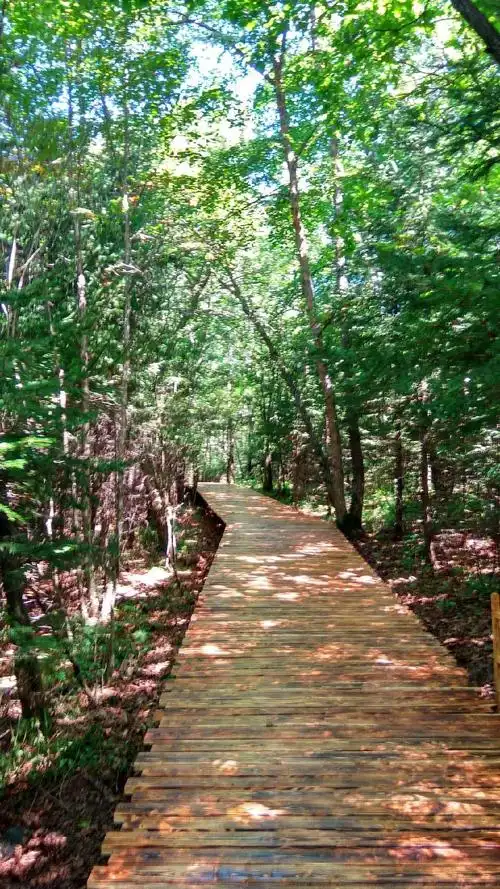 山里的空气真好