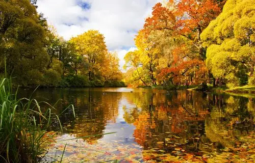 俄罗斯圣彼得堡壁纸2560x1600分辨率查看