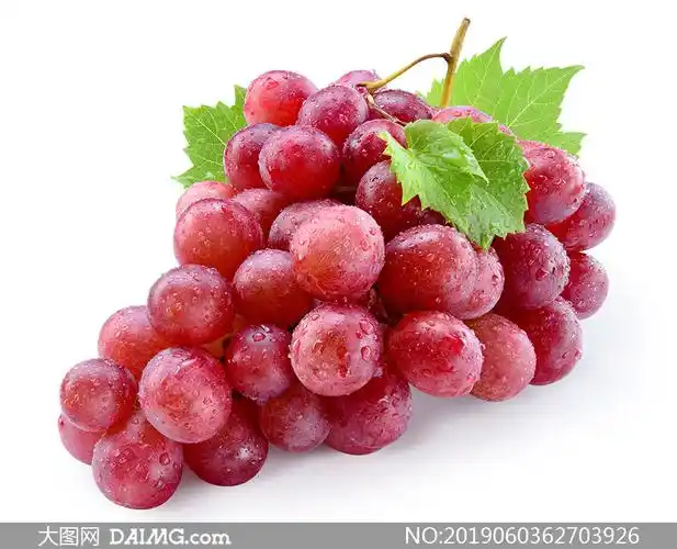 一串挂着小水珠的葡萄摄影高清图片