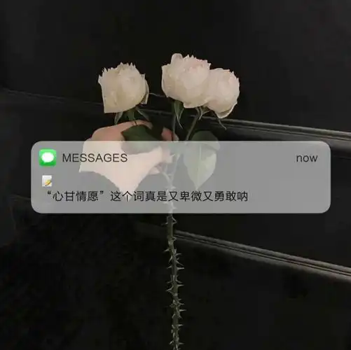 微信公众号:草莓潮图,朋友圈背景图微信公众号:草莓潮图图片较多,请在