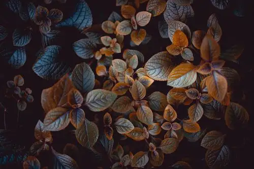 暖心治愈系早安心语文案,句句清爽干净,配好看的图片