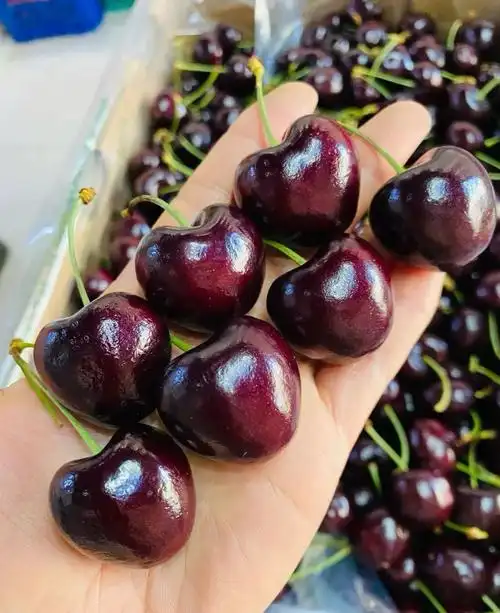 智利车厘子暴跌了吗