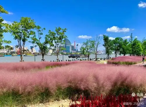 温情诱惑 粉黛缤纷的上海船厂滨江绿地