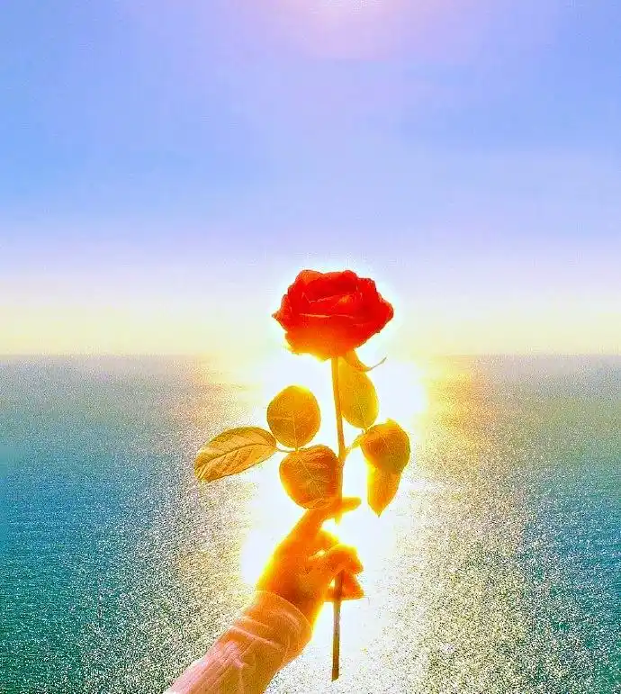 属于你的2021年励志早安句子,阳光美好,送给元气满满的你