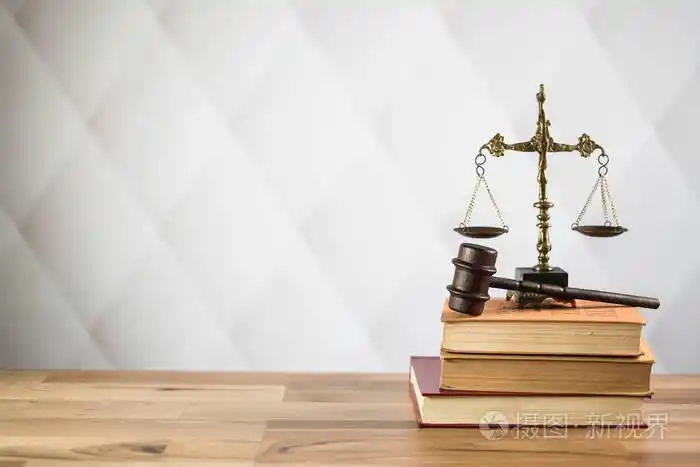 法律主题.法庭概念