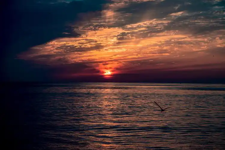 最美的景色往往是那一瞬间的捕捉夕阳西下恬静的海面之上一群海鸥飞过