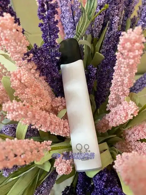 时雾首款换弹产品呆呆测评:一款自带ip形象的电子烟