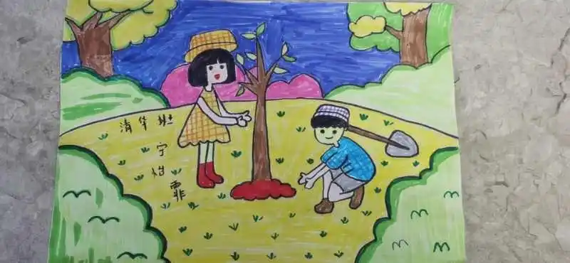 里,老师与大家分享一个关于树的绘本故事——《树的秘密》   保护环境