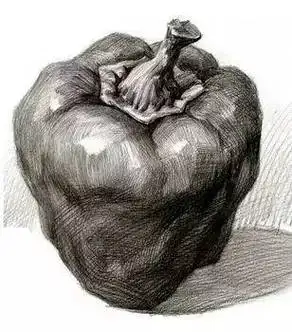 素描静物单个物体单个分析,值得收藏学习