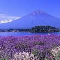 微信女头像风景【点击鼠标右键下载】