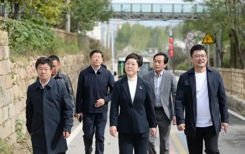 莱西市委副书记,市长刘瑛带队到山东文旅山乡集团天上的街市项目考察