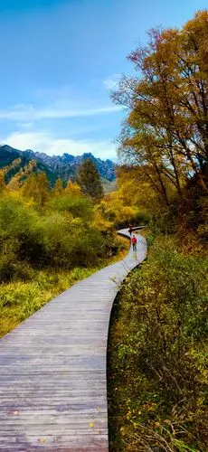 手机壁纸,北山秋景.
