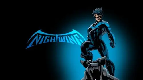 求夜翼(nightwing)标志的壁纸或图片,大点清楚点,能做电脑或手机壁纸