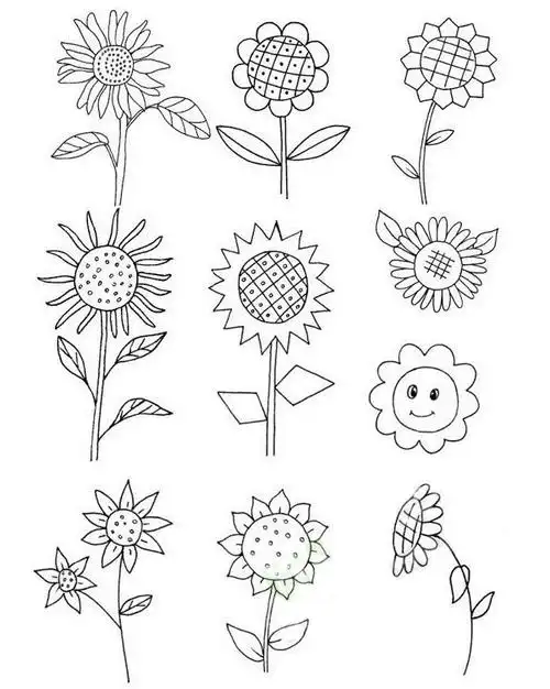 向日葵简笔画步骤图解教程及图片大全