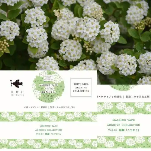 图1上的植物叫麻叶绣球绣线菊,花语是努力,祈福.