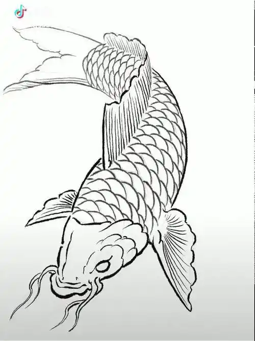 教您画鲤鱼上色图绘画绘画绘画鲤鱼