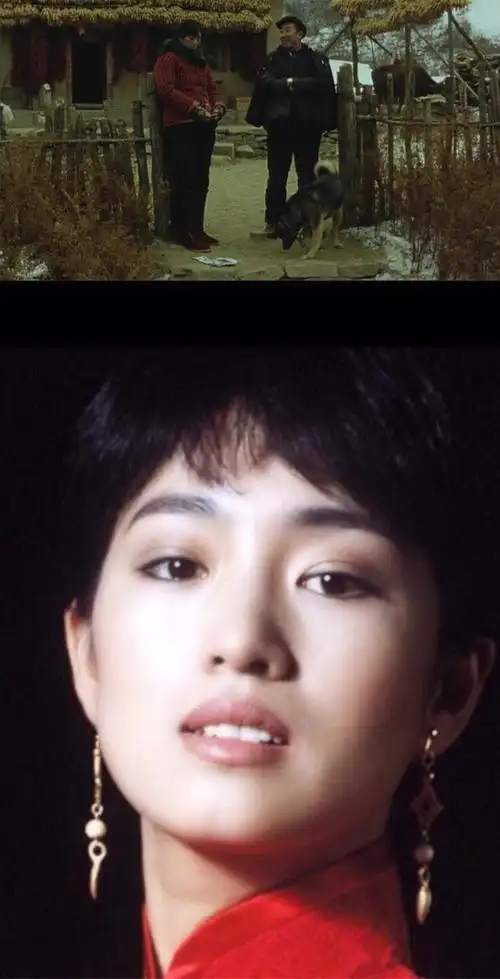 巩俐——《秋菊打官司》中的秋菊