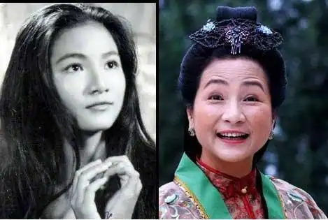 郑佩佩个人资料简介