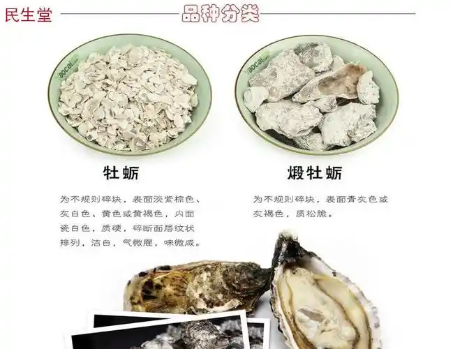 生蚝功效与作用