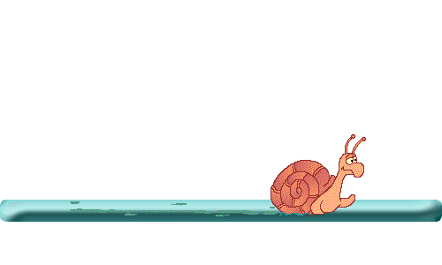 这些之后就是王者荣耀和吃鸡游戏了小熊,小鸡,青蛙,狐狸,猫头鹰,河马