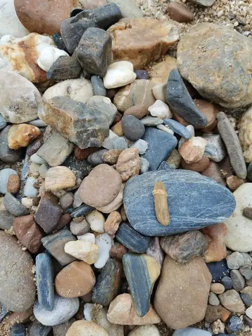 今天去河边捡鹅卵石捡到一个奇怪的小石头