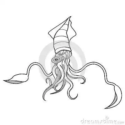 巨型鱿鱼的简笔画