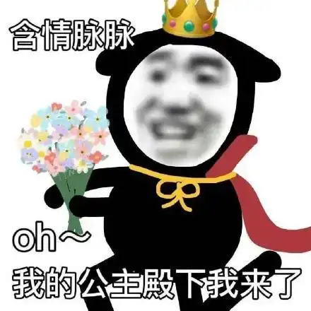 含情脉脉oh 我的公主殿下我来了_我来_oh_含情脉脉_殿下_公主表情