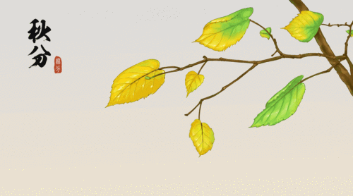 2126_1181gif 动态图 动图