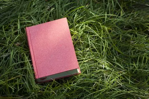 留白,红色,书本,草地,青草