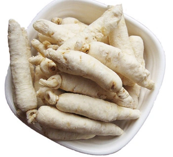 别名南沙参,沙参,泡沙参,清热养阴,润肺止咳.