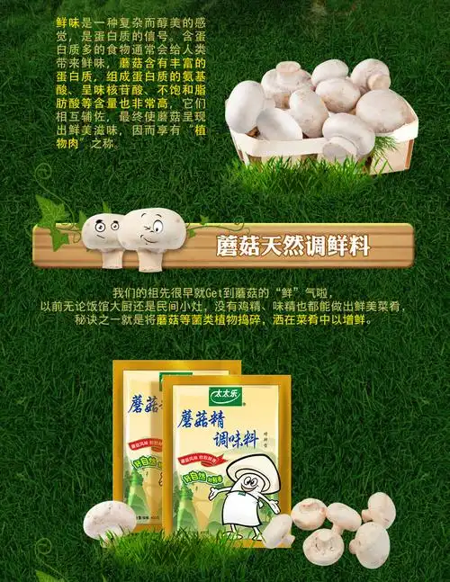 太太乐蘑菇精400g 素食调料调味品 炒蔬菜煲汤火锅麻辣烫增鲜增香.