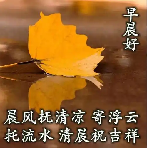 8张秋日清晨最新早上好图片带字语录,新的一天早安问候祝福语大全简短