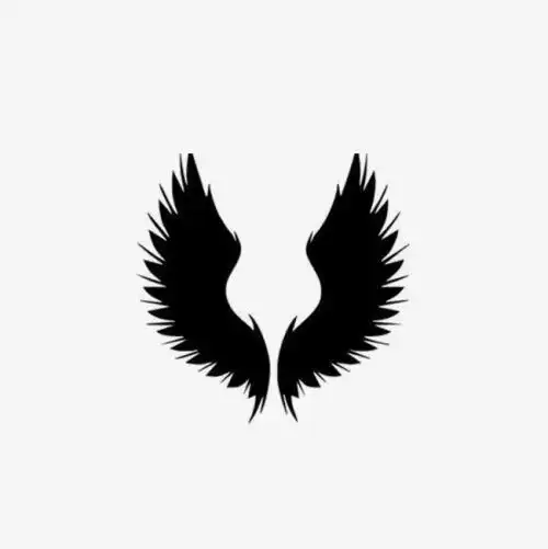 黑白翅膀头像图片