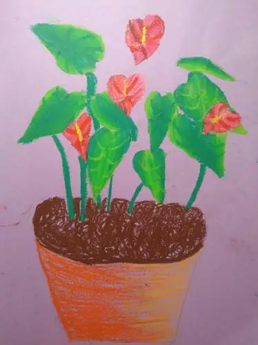 二年级美丽植物的渐变色