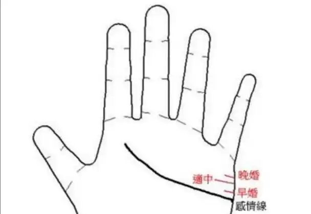先将自己小指指根的线条和感情线之间做一个二等分,正中央的位置代表