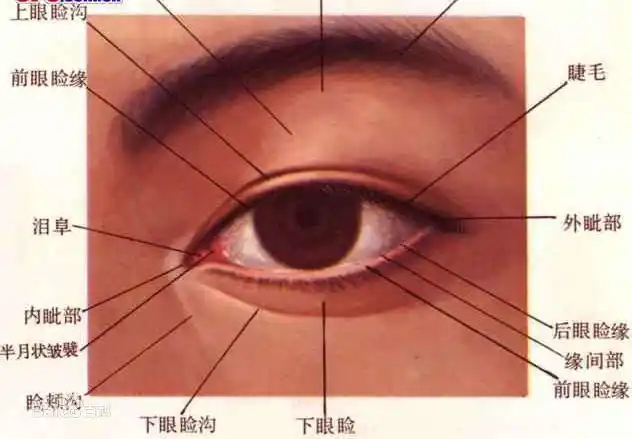 ps 如果楼主说的是内眼角的话   那个叫半月皱襞,是我们的正常结构.