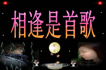 361_240gif 动态图 动图