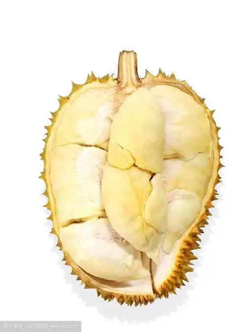 【保5房丨顺丰】泰国金枕榴莲非托曼尼甲仑新鲜榴莲时令水果礼盒送